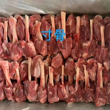 寸骨