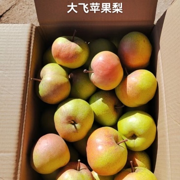 延边特产苹果梨