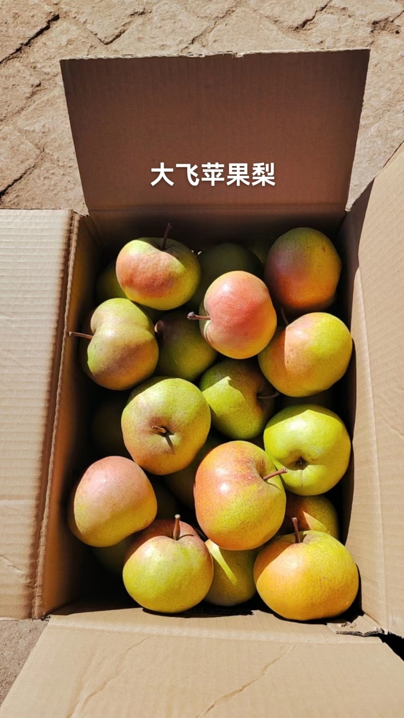 延边特产苹果梨