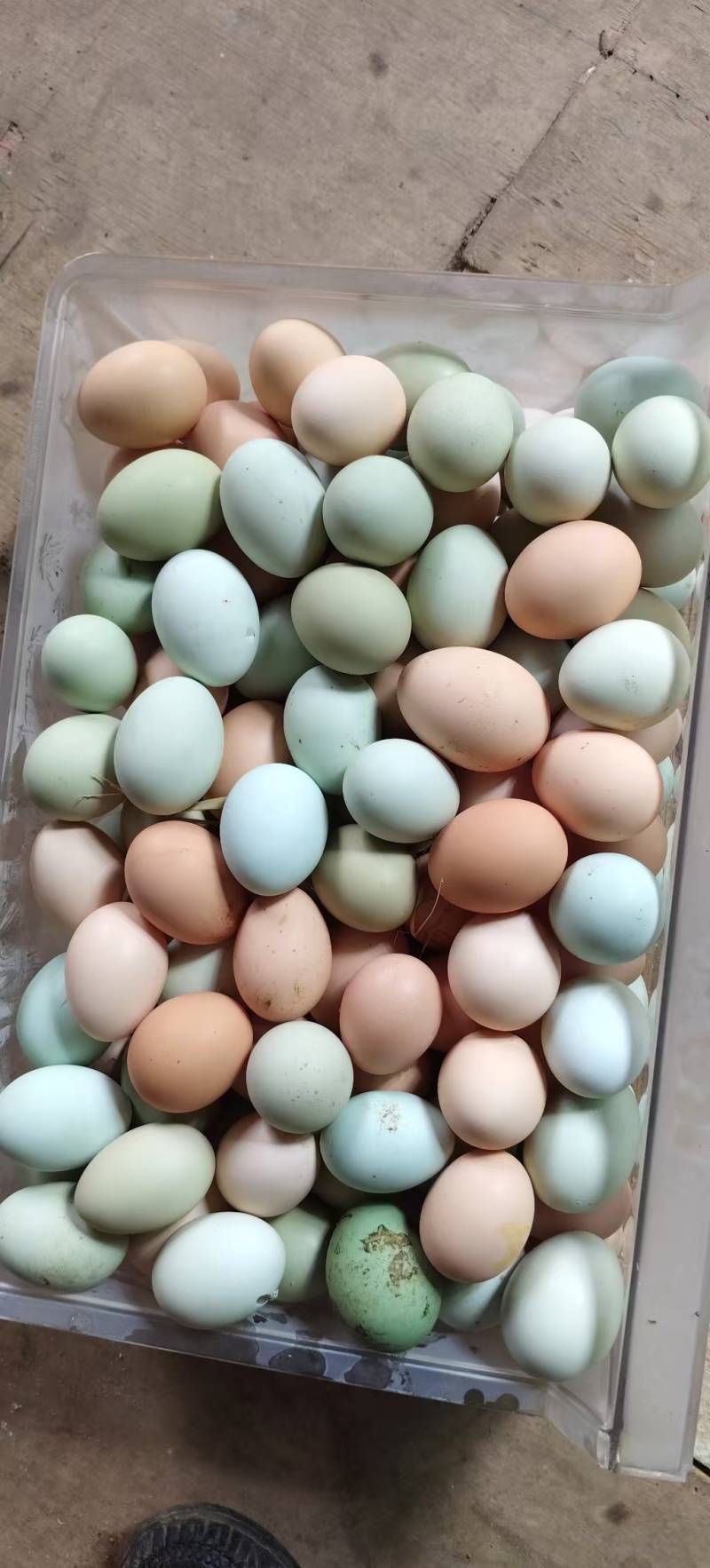土鸡蛋