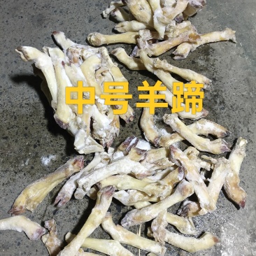 中号羊蹄