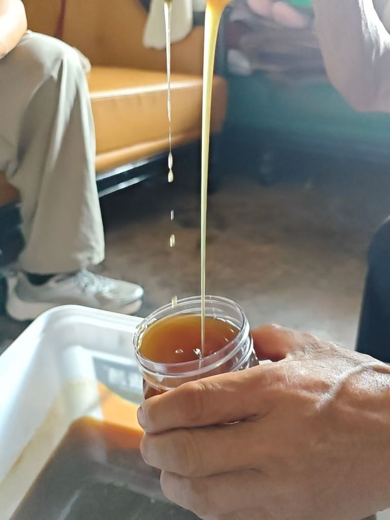 土蜂蜜***