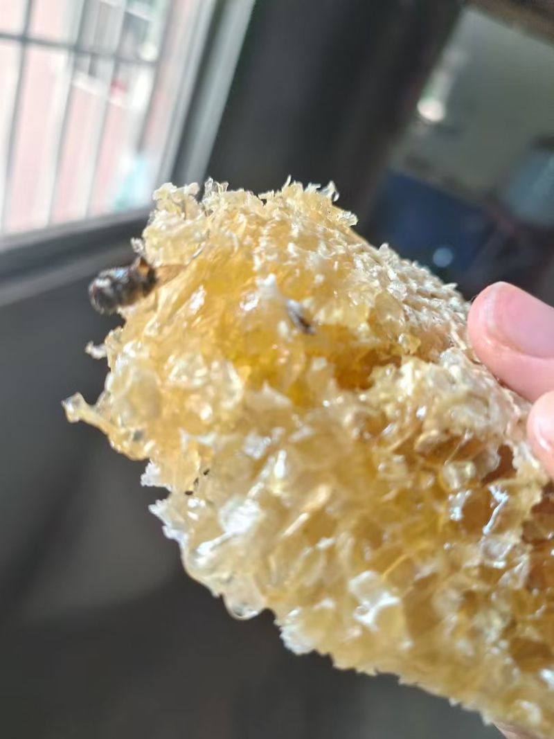 土蜂蜜***