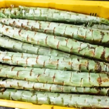 莴笋杆莴笋肉。大条，不空心黑心。质量有保障