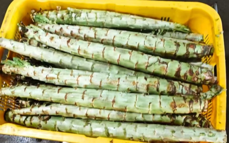 莴笋杆莴笋肉。大条，不空心黑心。质量有保障