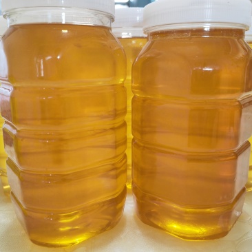 荆条蜜