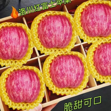 红富士苹果