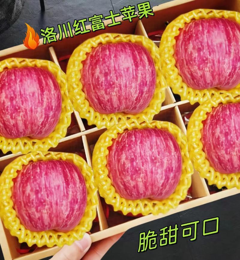 红富士苹果