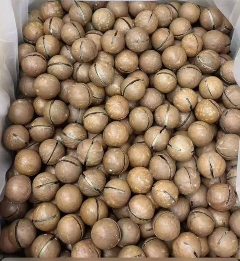 夏威夷果电商一件代发，大货批发价格**优势