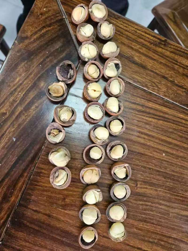 夏威夷果电商一件代发，大货批发价格**优势