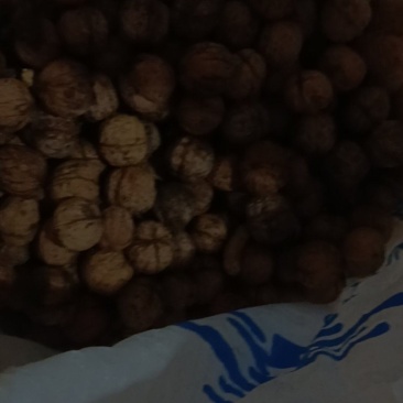 干核桃