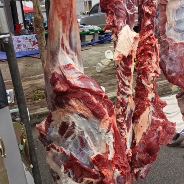 黄牛鲜肉，牛干巴，