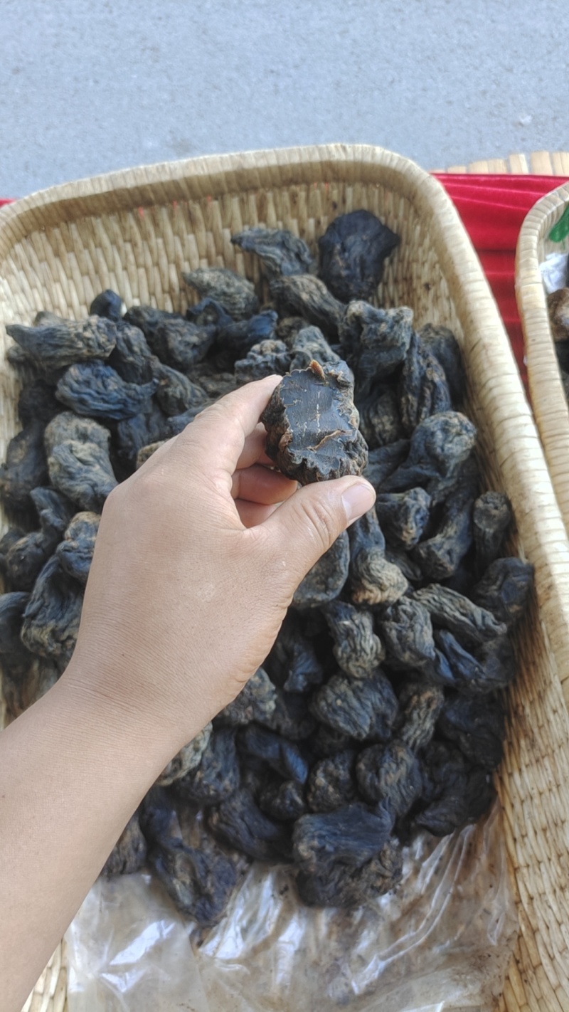 芥菜干酱香芥肉中等个头