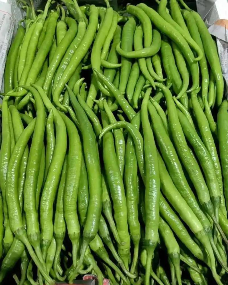 二荆条