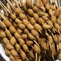 竹虫