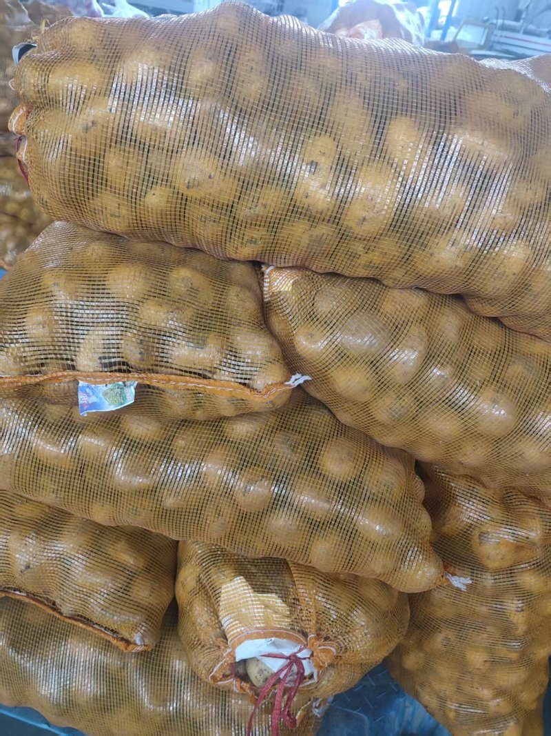 土豆