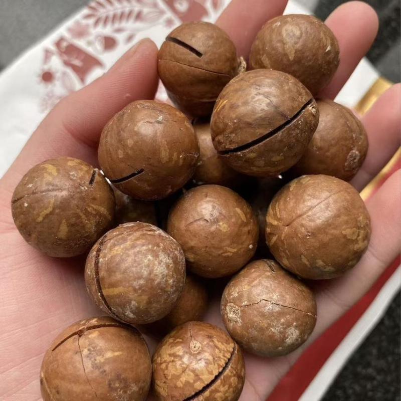 夏威夷果电商一件代发有量你就来