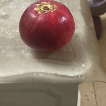 石榴