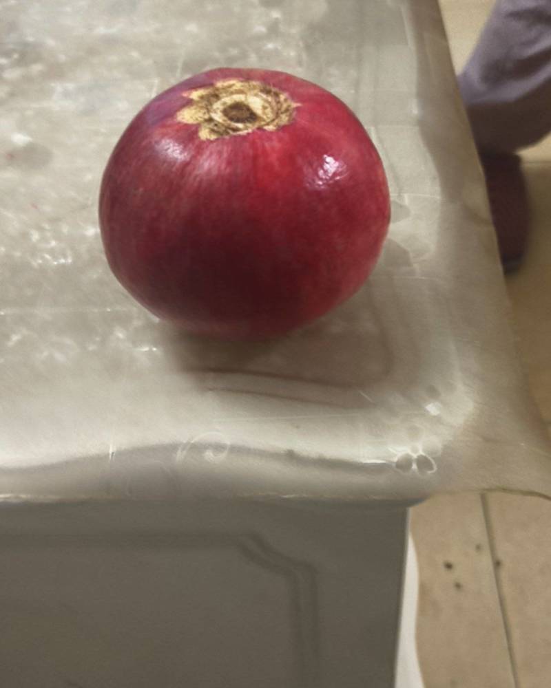 石榴