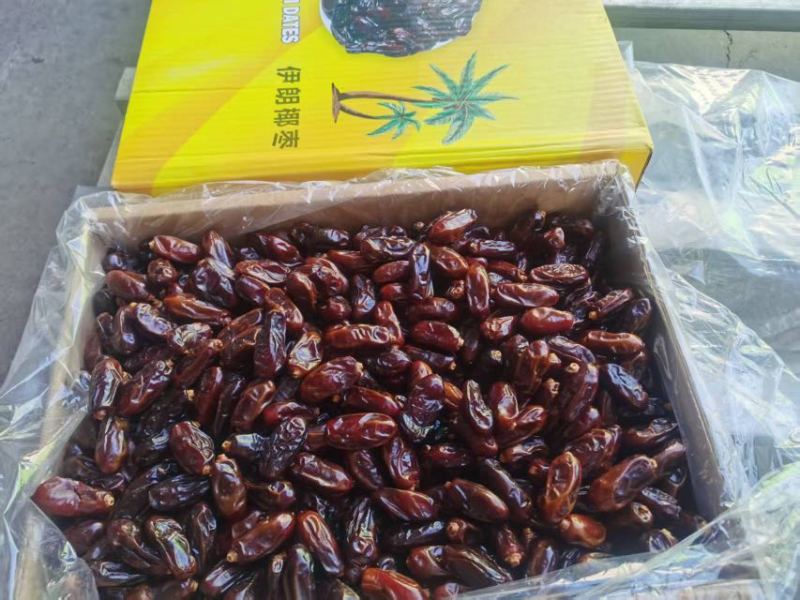 黑椰枣大粒蜜甜楼兰西域风味椰枣