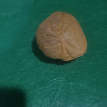 精品鸡宝
