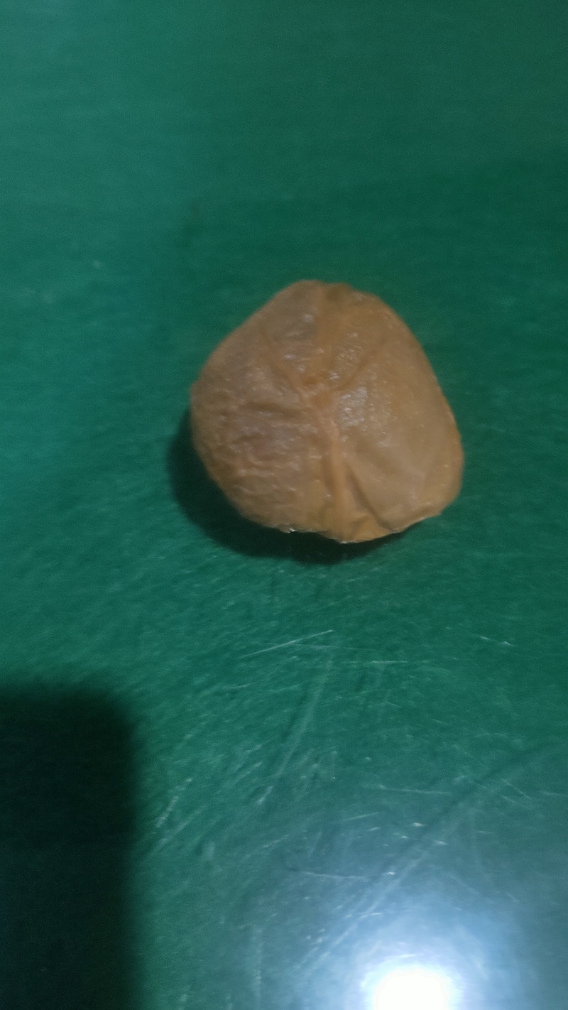 精品鸡宝