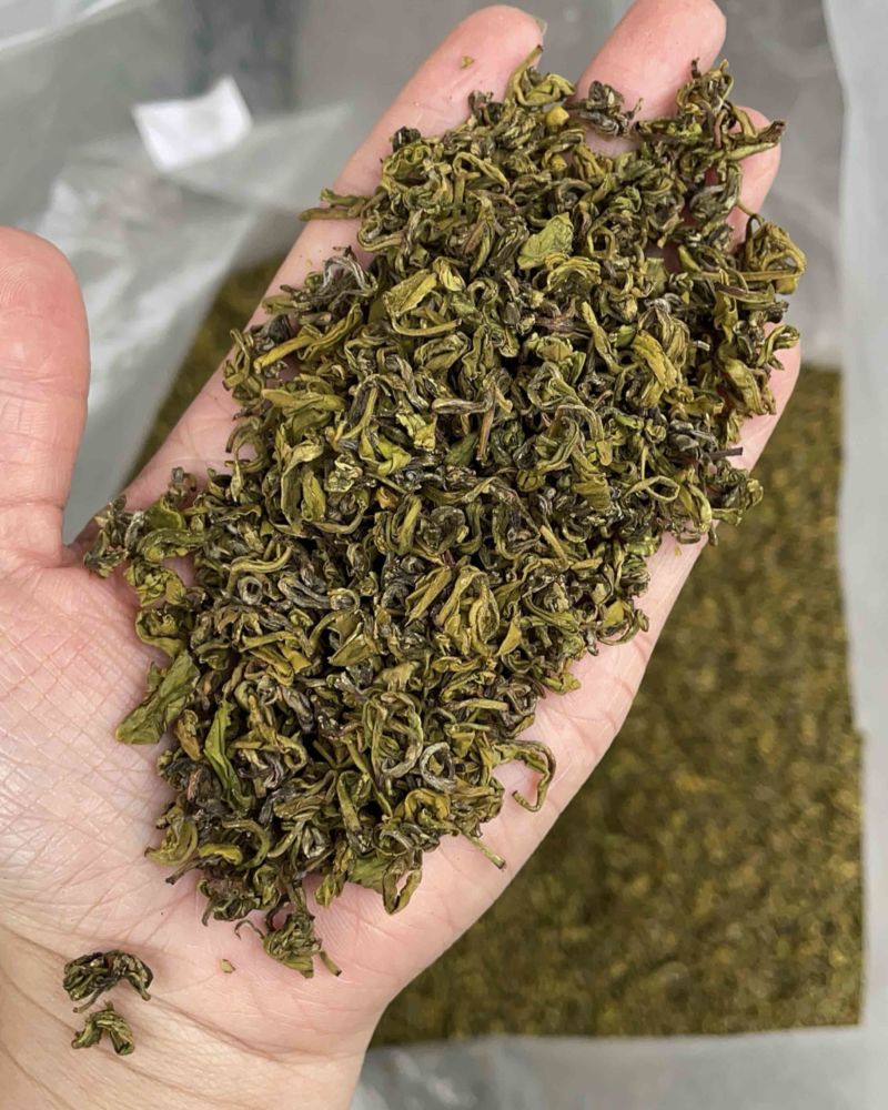 手工黄金芽