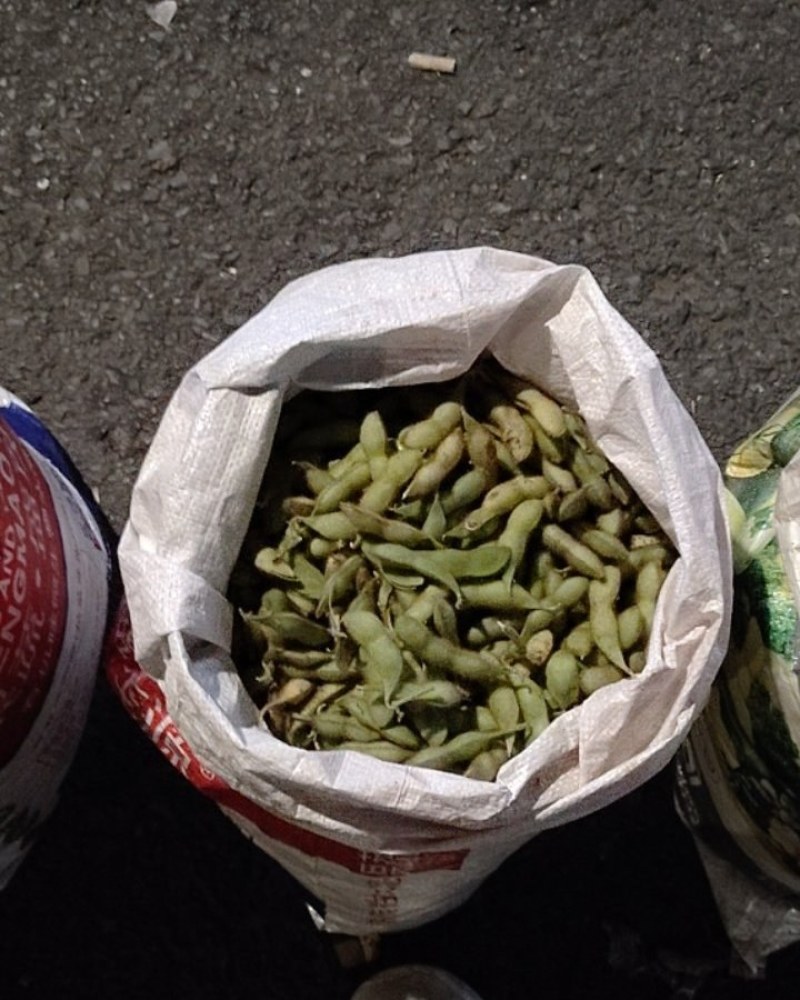 农家毛豆