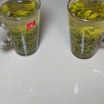 信阳毛尖自产自销