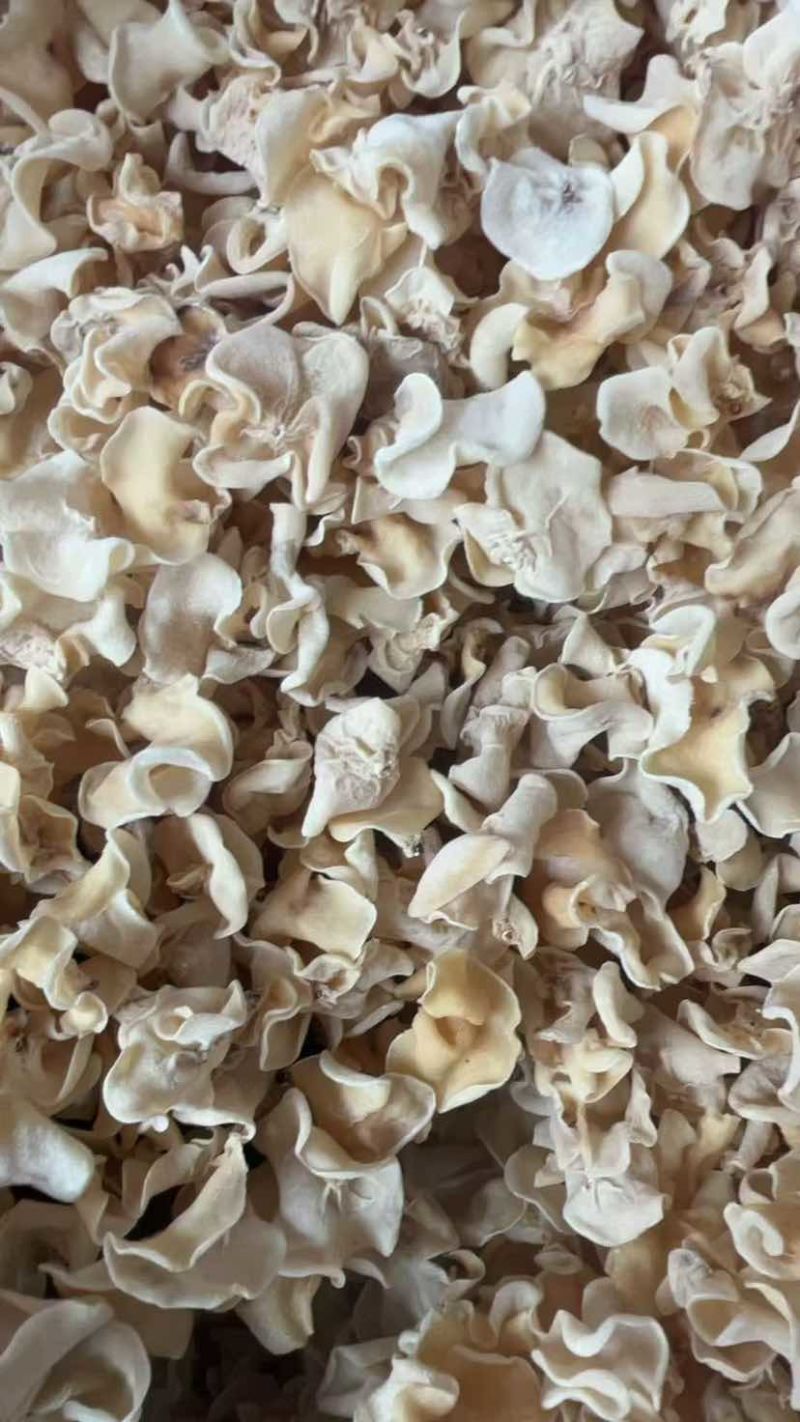 白玉木耳大量批发一手货源产地货源电商供货