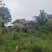 四川大凉山高山正宗土蜂蜜，不喂糖，不勾兑。