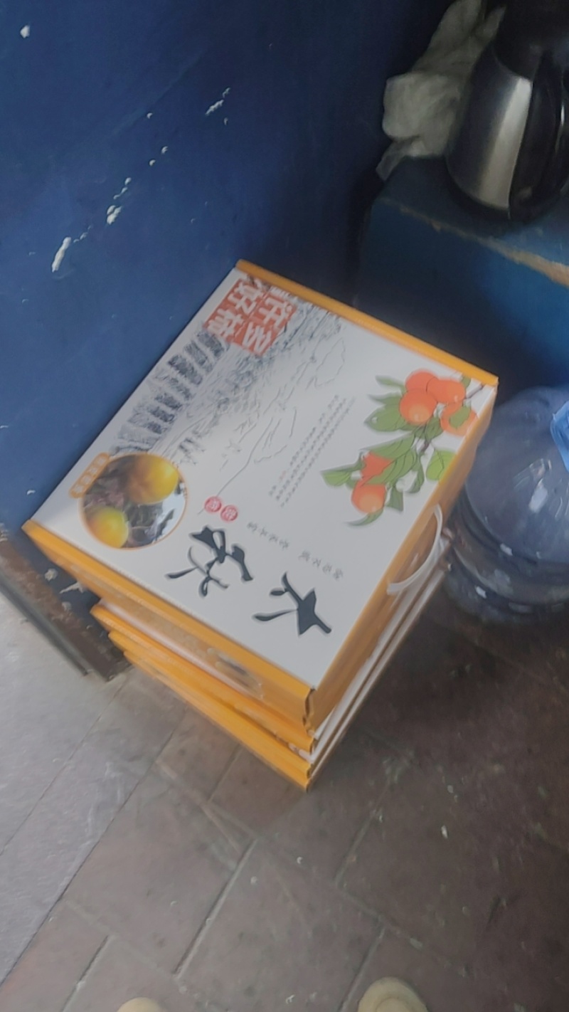 太秋甜柿