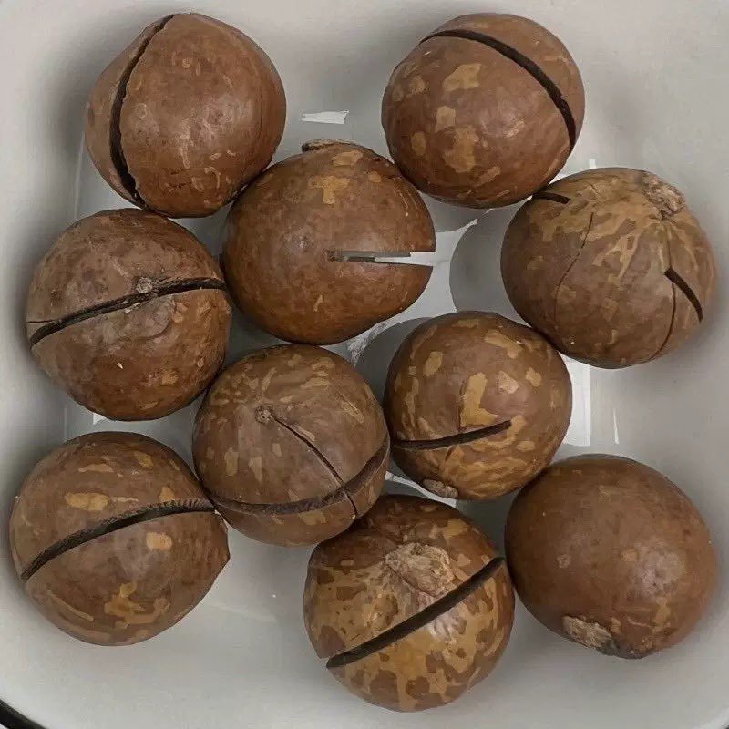 夏威夷果电商一件代发有量你就来