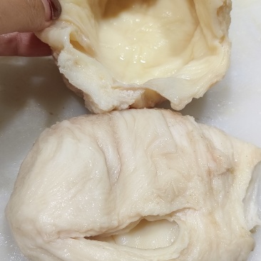 半成品尿泡