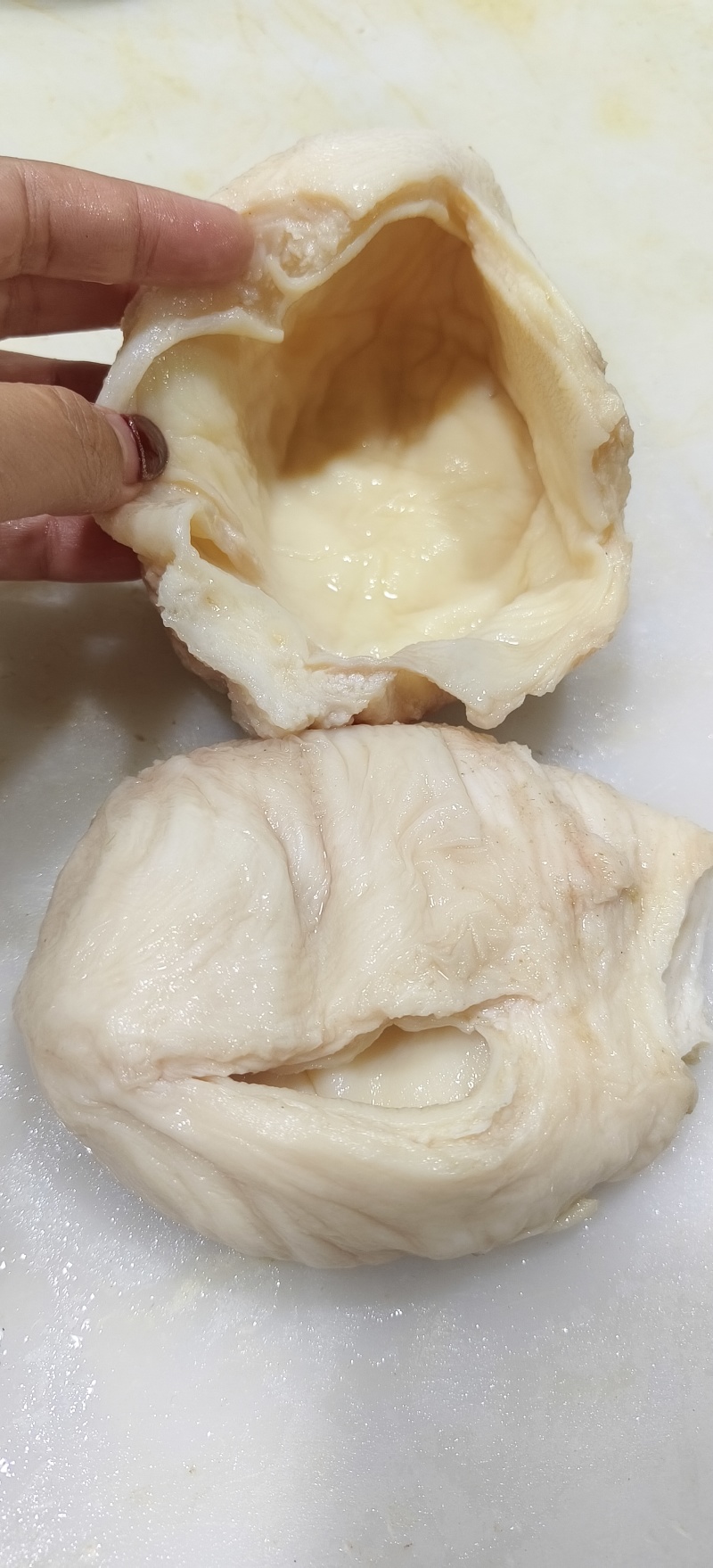 半成品尿泡