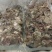 羊杂3号