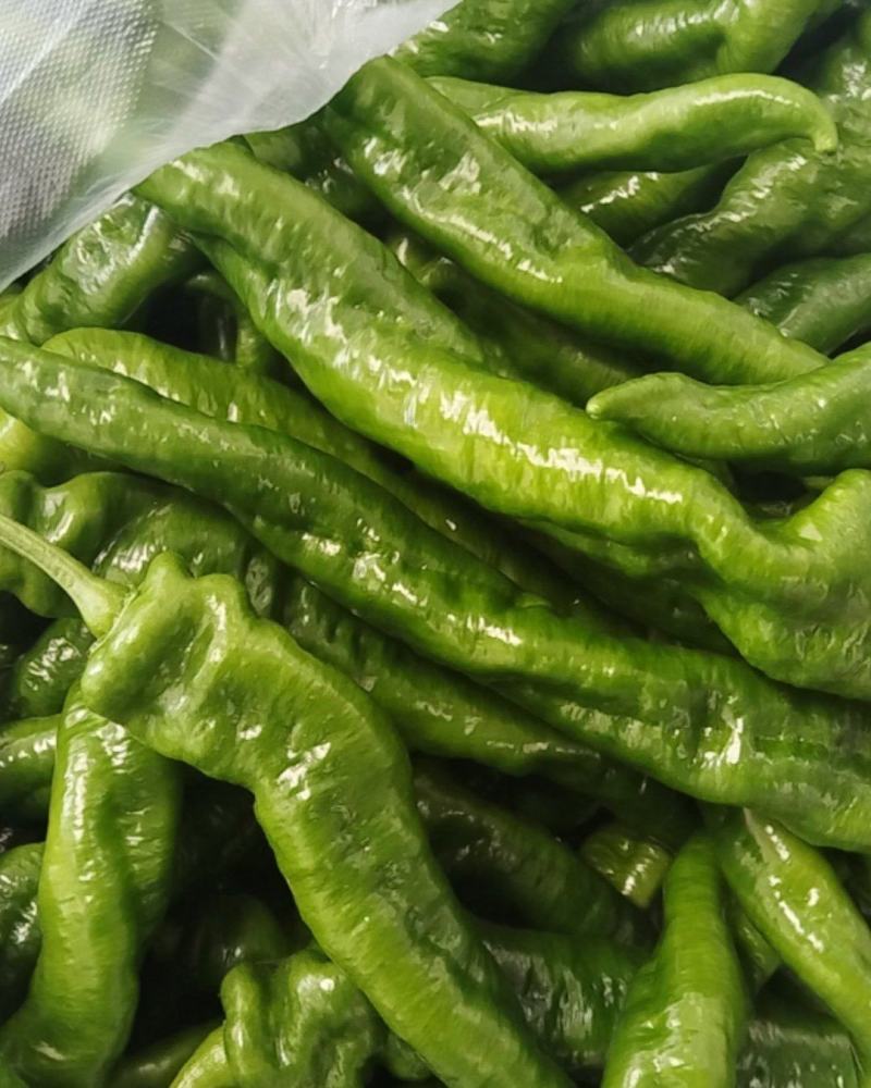 辣椒🌶