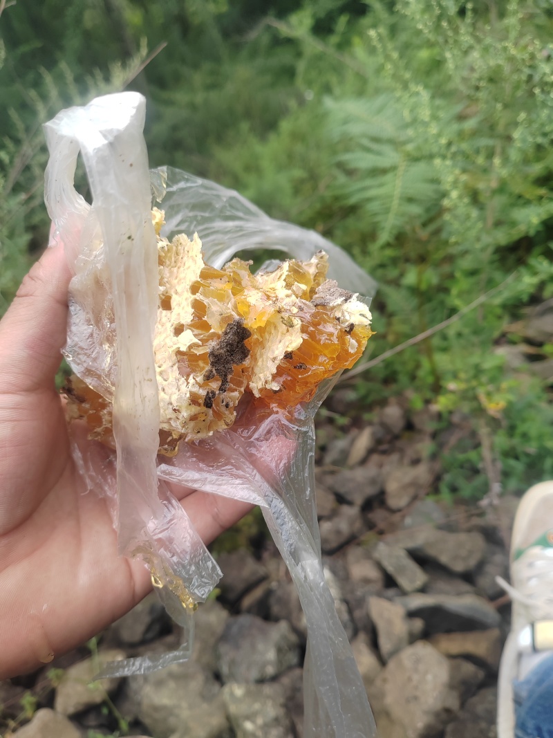 四川大凉山农户蜂蜜