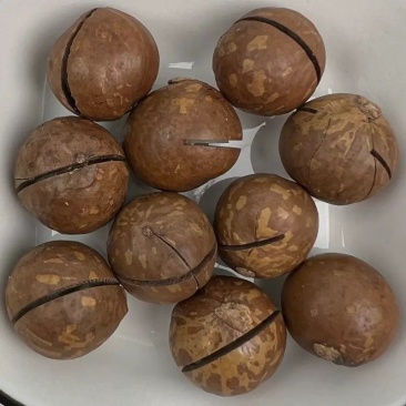 夏威夷果电商一件代发有量你就来