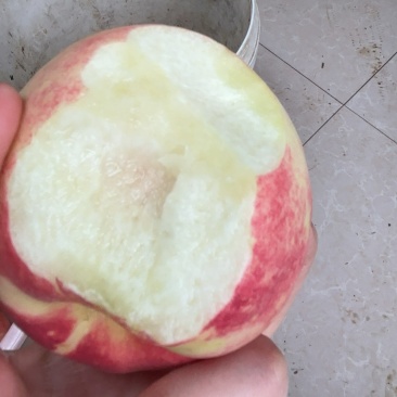 金秋红蜜桃
