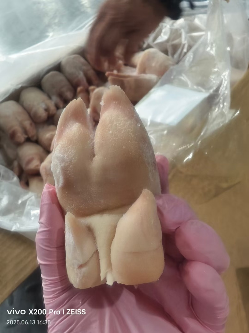 猪脚趾