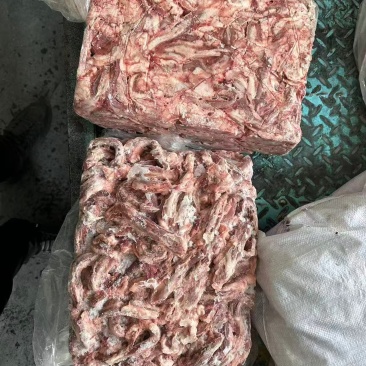 尿管