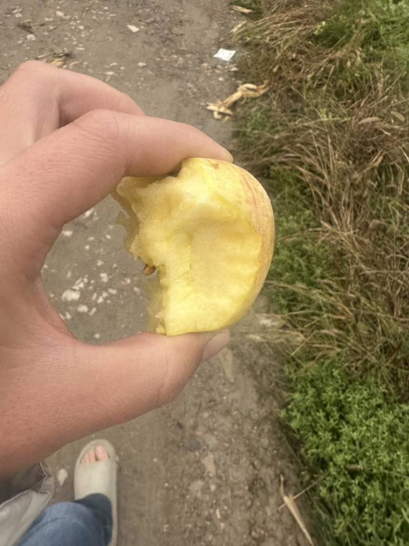 75规格以上自家一手产源批发