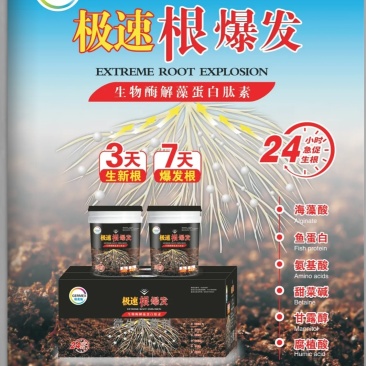 极速爆发根，生根肥，厂家直销，见效快