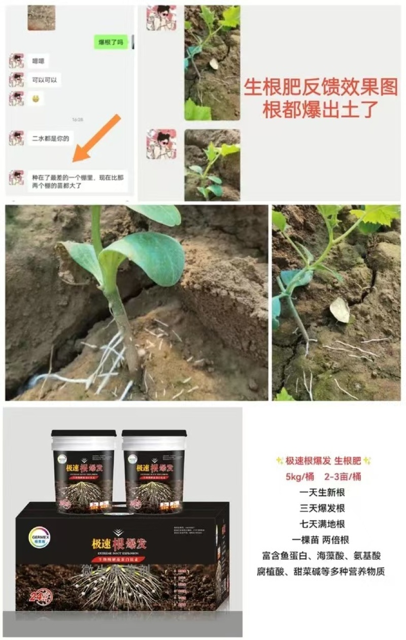 极速爆发根，生根肥，厂家直销，见效快