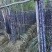 广西黑皮甘蔗批发5吨以上批发清甜多汁整批现发长期稳