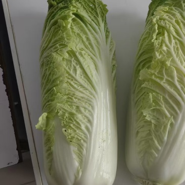 小二青
