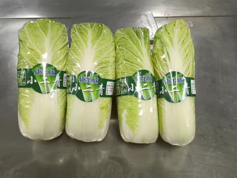 小二青