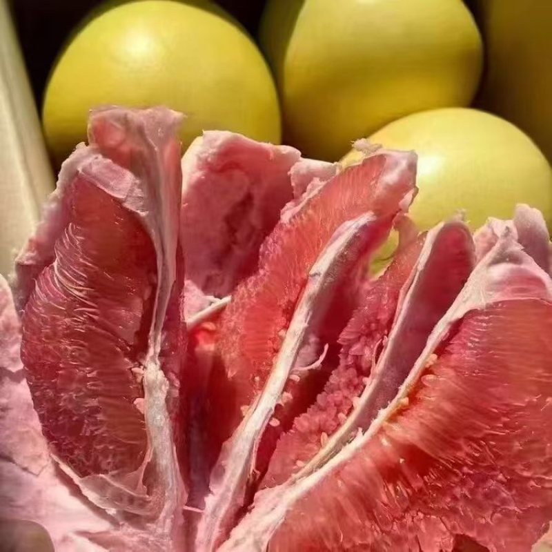 红心柚
