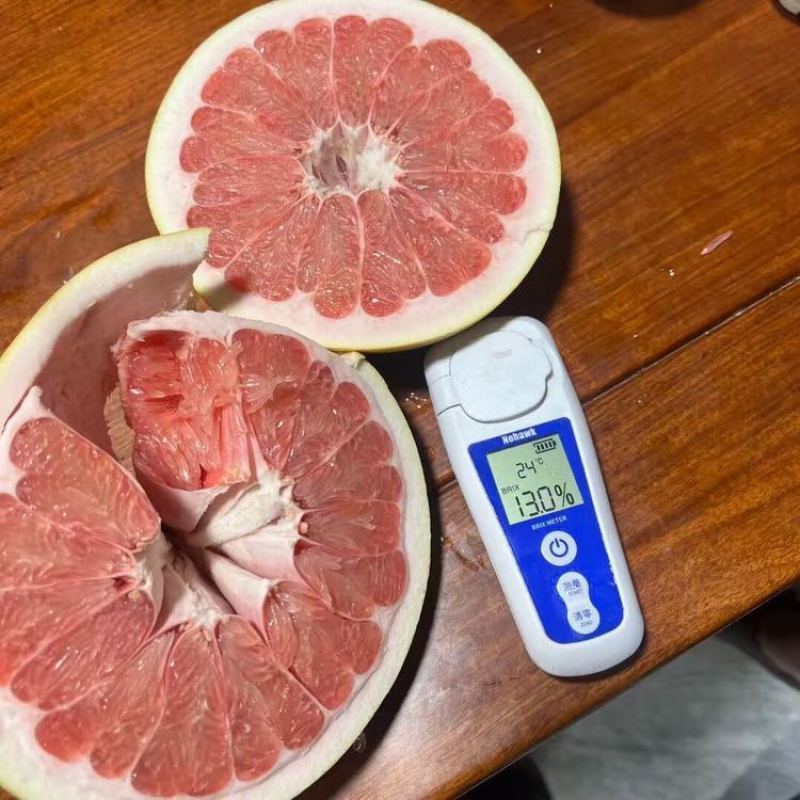 红心柚
